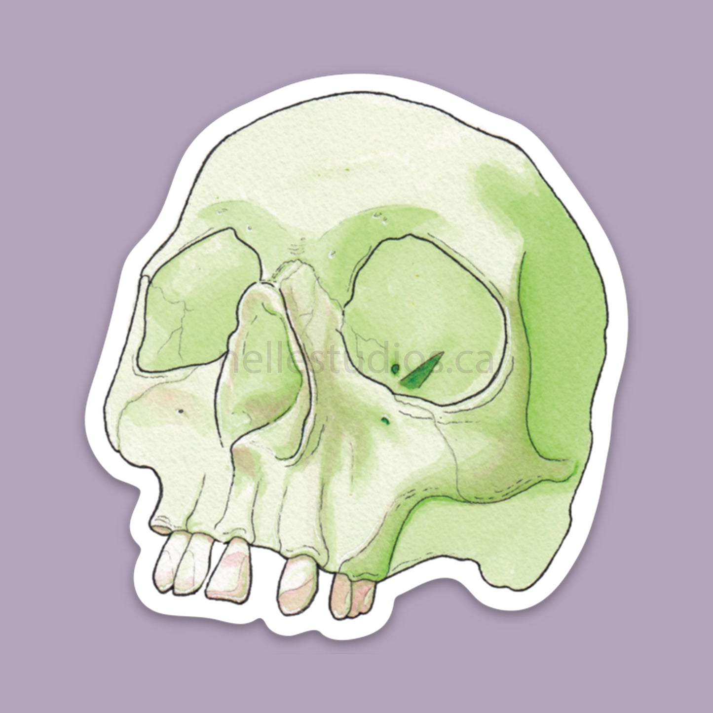 Rainbow Skull - Vinyl Stickers