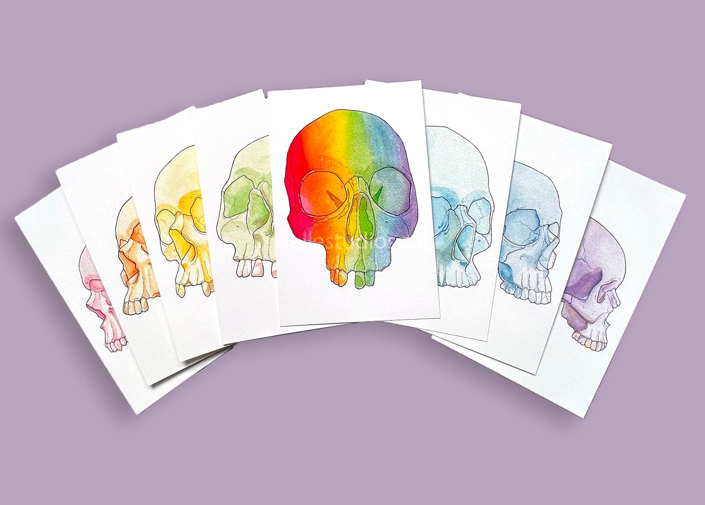 Rainbow Skull Postcard Set