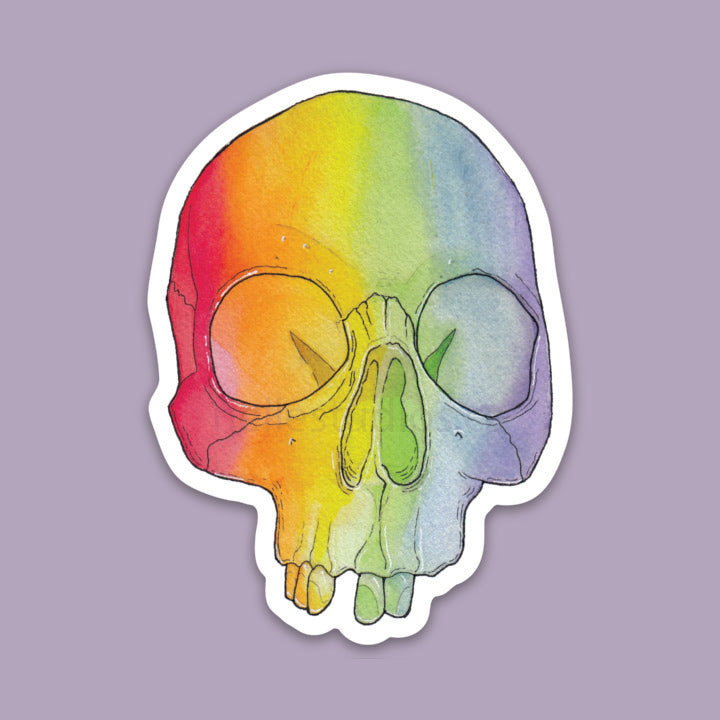 Rainbow Skull - Vinyl Stickers