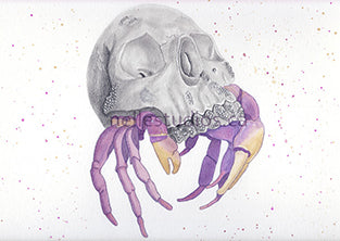 Crab Skull Original